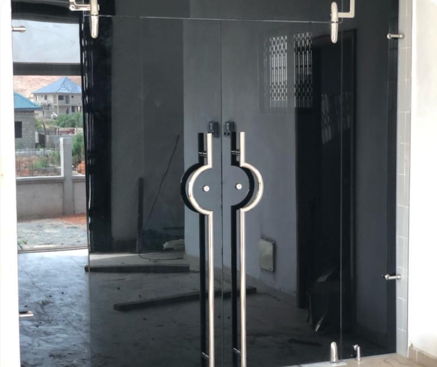 Tinted Frameless Glass Hinge Door